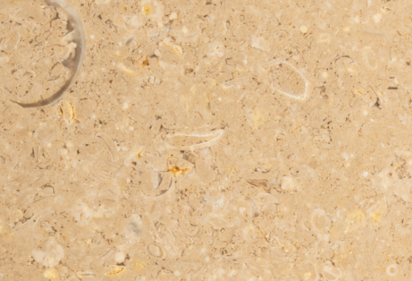 Al-rabat-catalogue-nov-1-pdf (10)