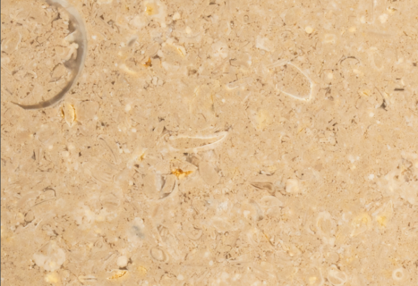 Al-rabat-catalogue-nov-1-2-pdf (2)